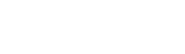 SYNEXUS