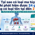 Tại sao có loại ma túy chỉ phát hiện được trong 24 giờ, nhưng có loại tồn tại đến 2 tuần?